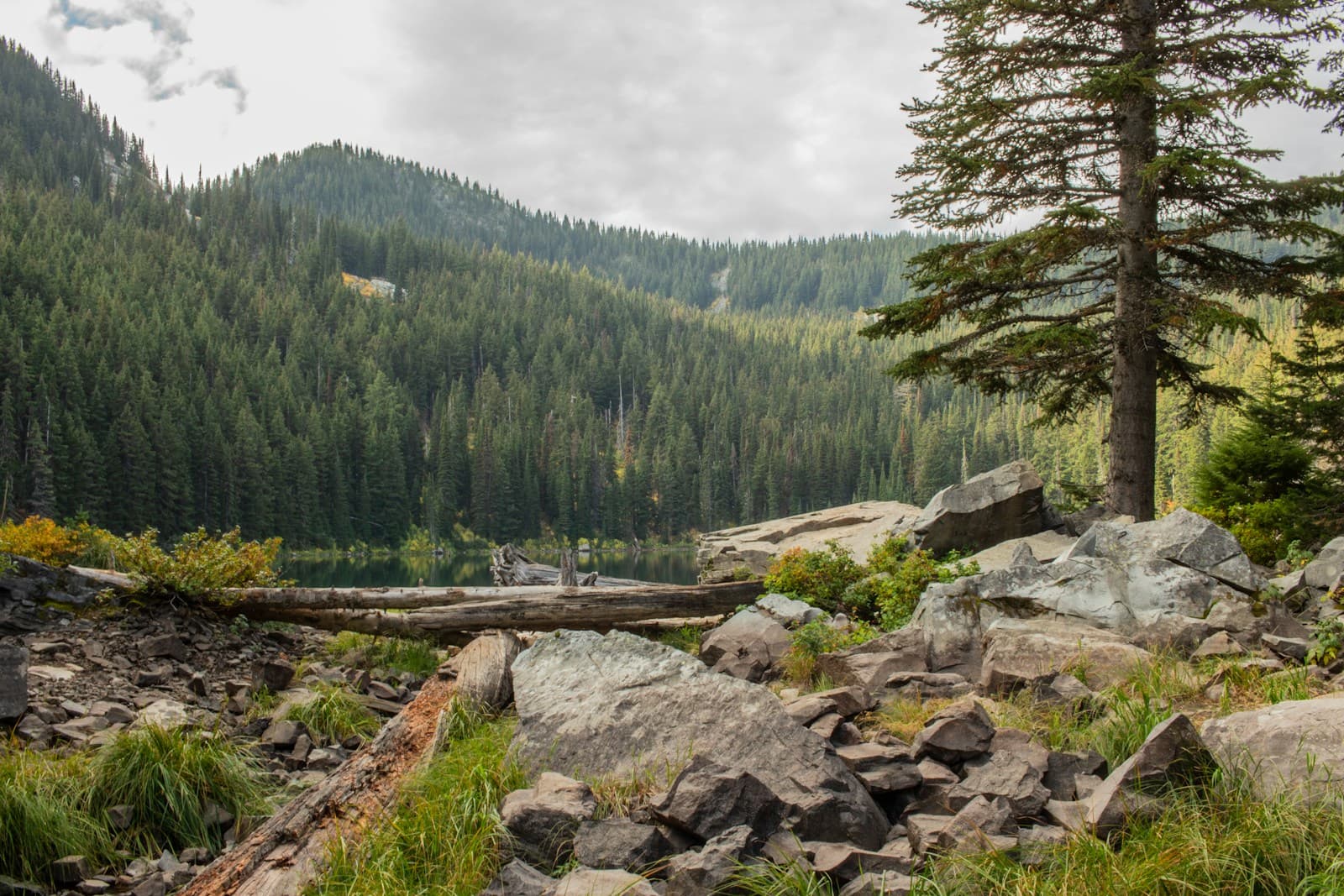 Mountain landscape with forested hills, scattered rocks, and evergreen trees under cloudy sky