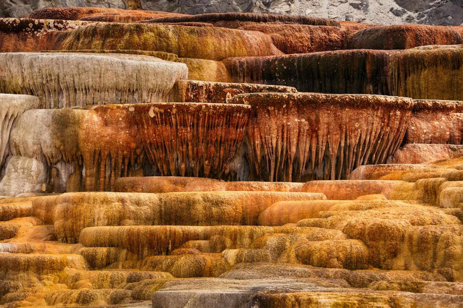 Colorful terraced limestone formations with orange and yellow mineral deposits creating natural stepped landscape