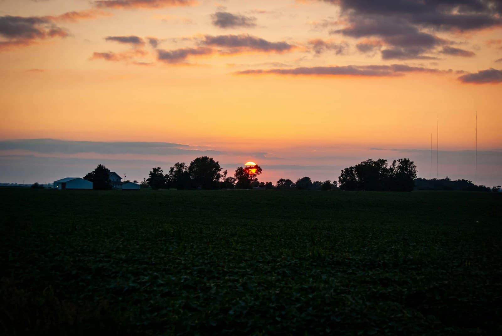 Golden sunset over rural farmland with silhouetted trees and orange sky