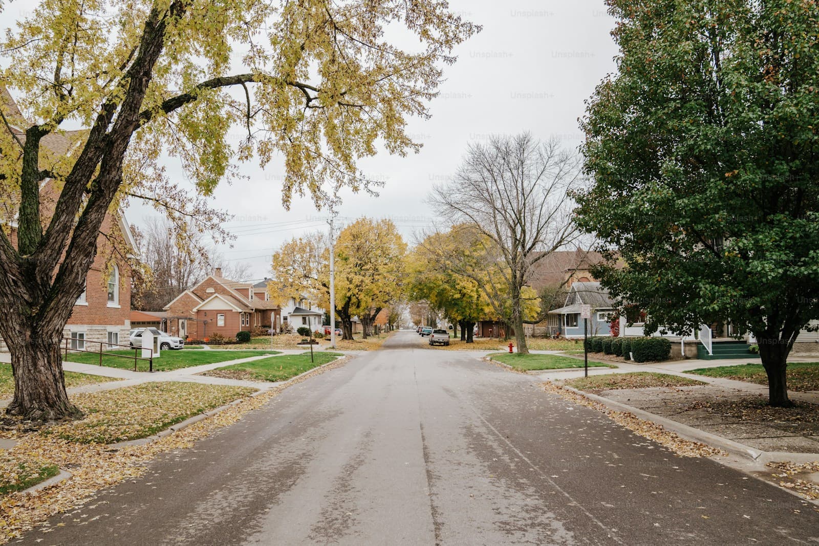 Autumn residential street with fallen leaves, suburban homes, and mature trees under overcast sky