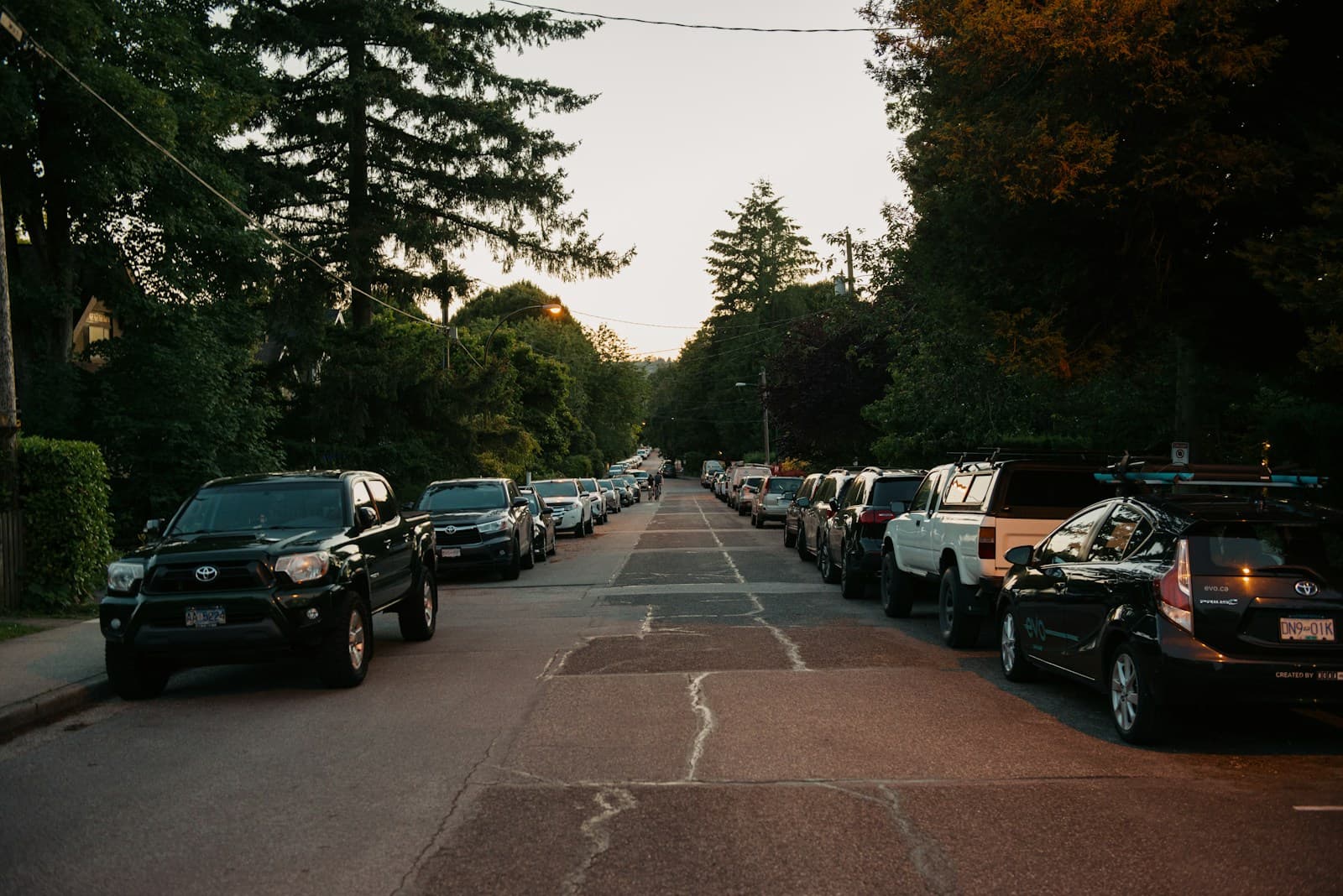 Cars parked along both sides of a tree-lined residential street during golden hour lighting