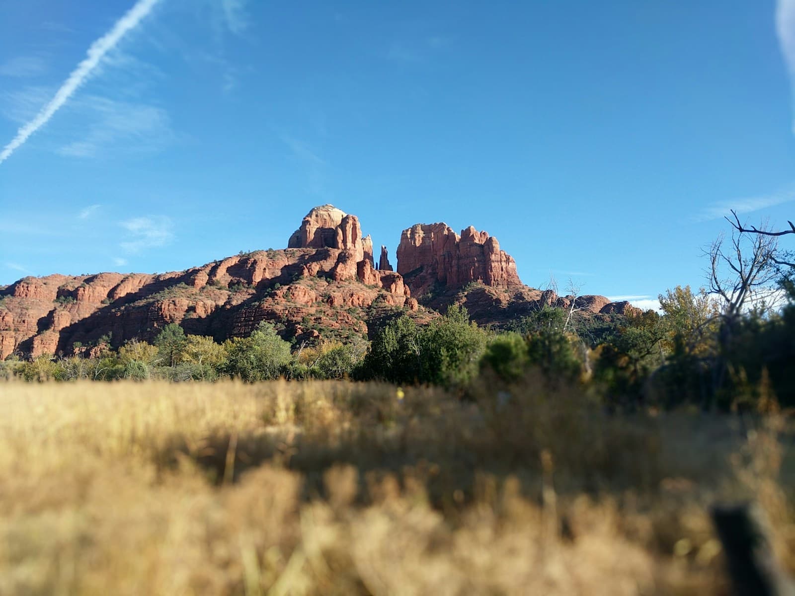 Red rock formations in desert landscape with golden grass foreground and blue sky