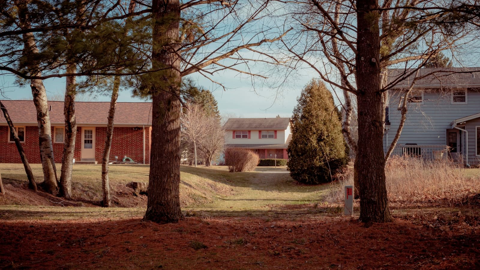 Vintage photo of suburban homes among bare trees in winter with warm, nostalgic lighting