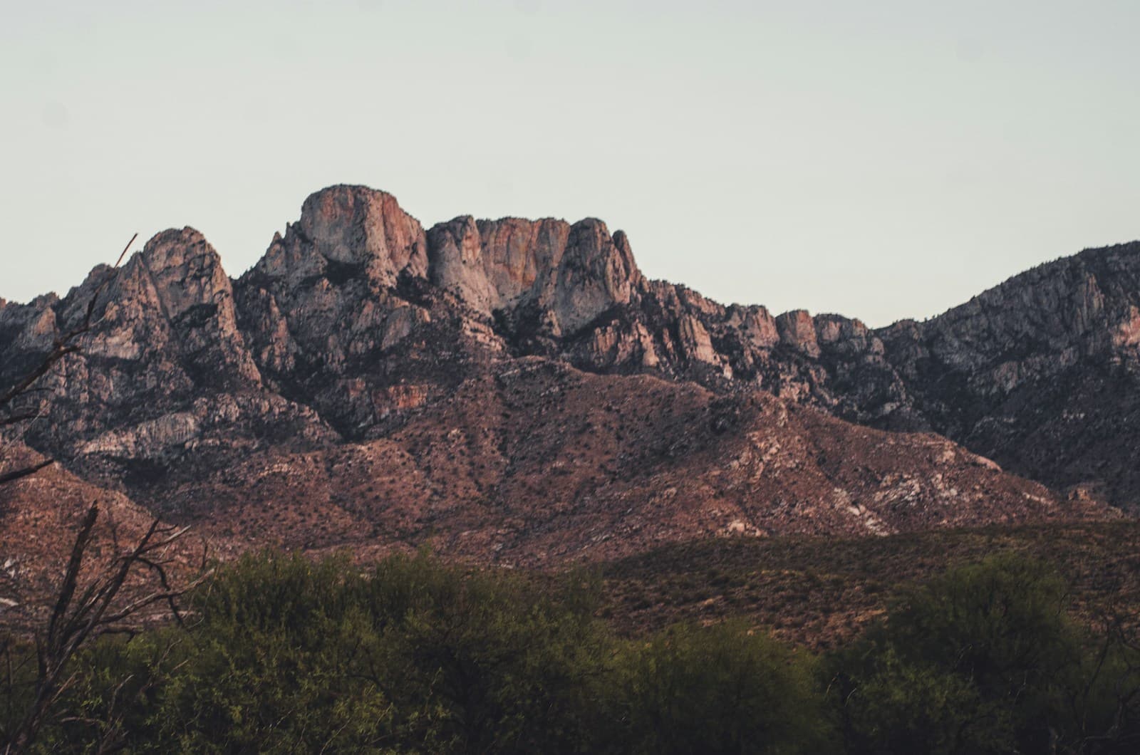Desert mountain landscape with red rock peaks and desert vegetation in foreground