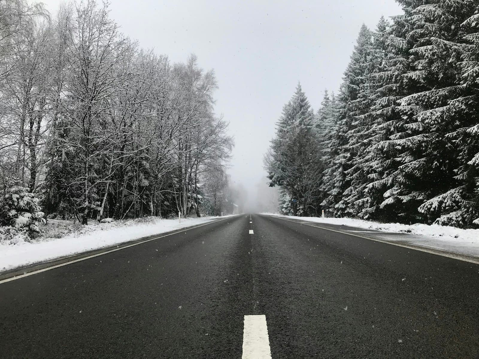 Straight road with a yellow center line flanked by snow-covered trees