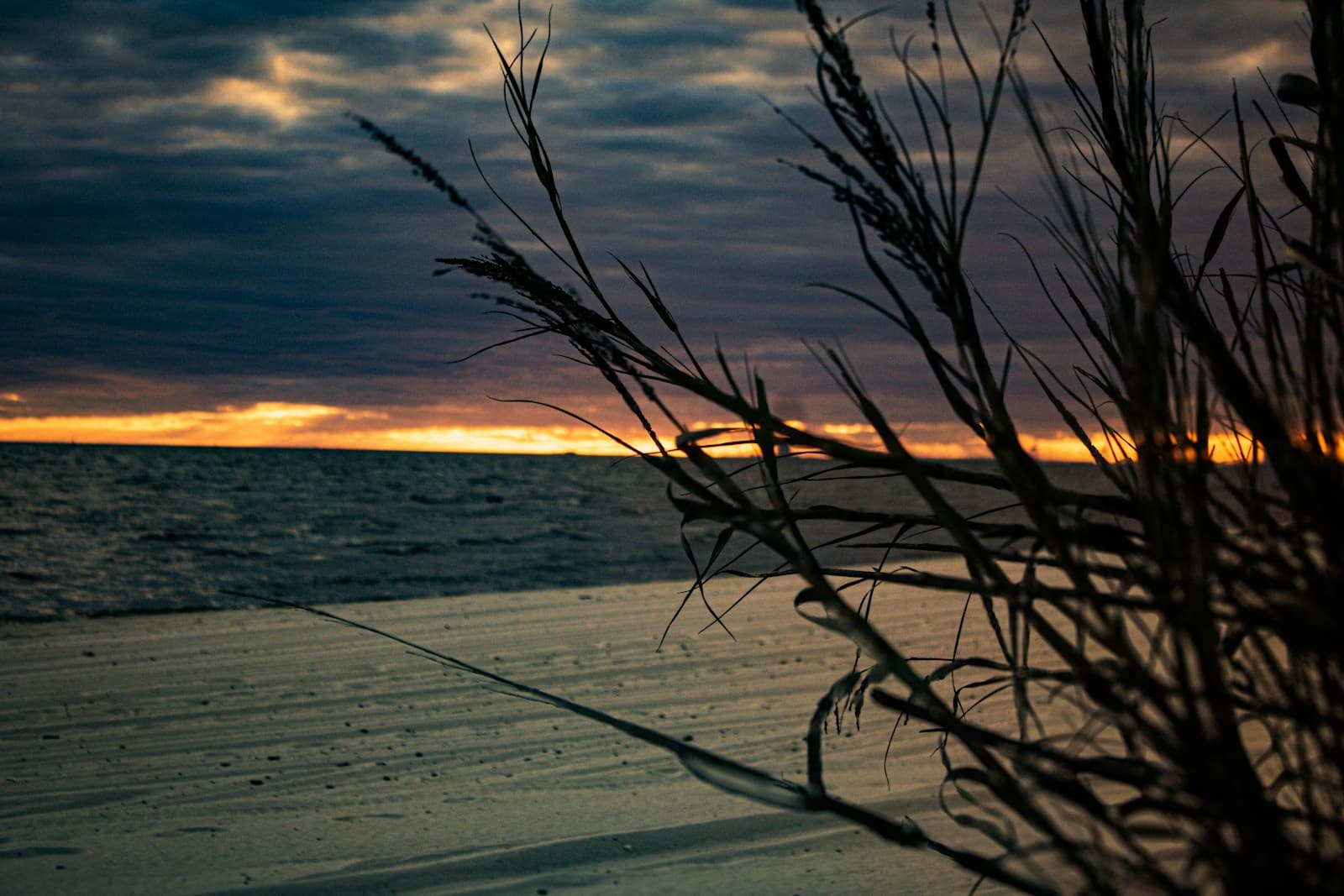 Sunset over ocean viewed through beach grass with dramatic cloudy sky and golden light on horizon