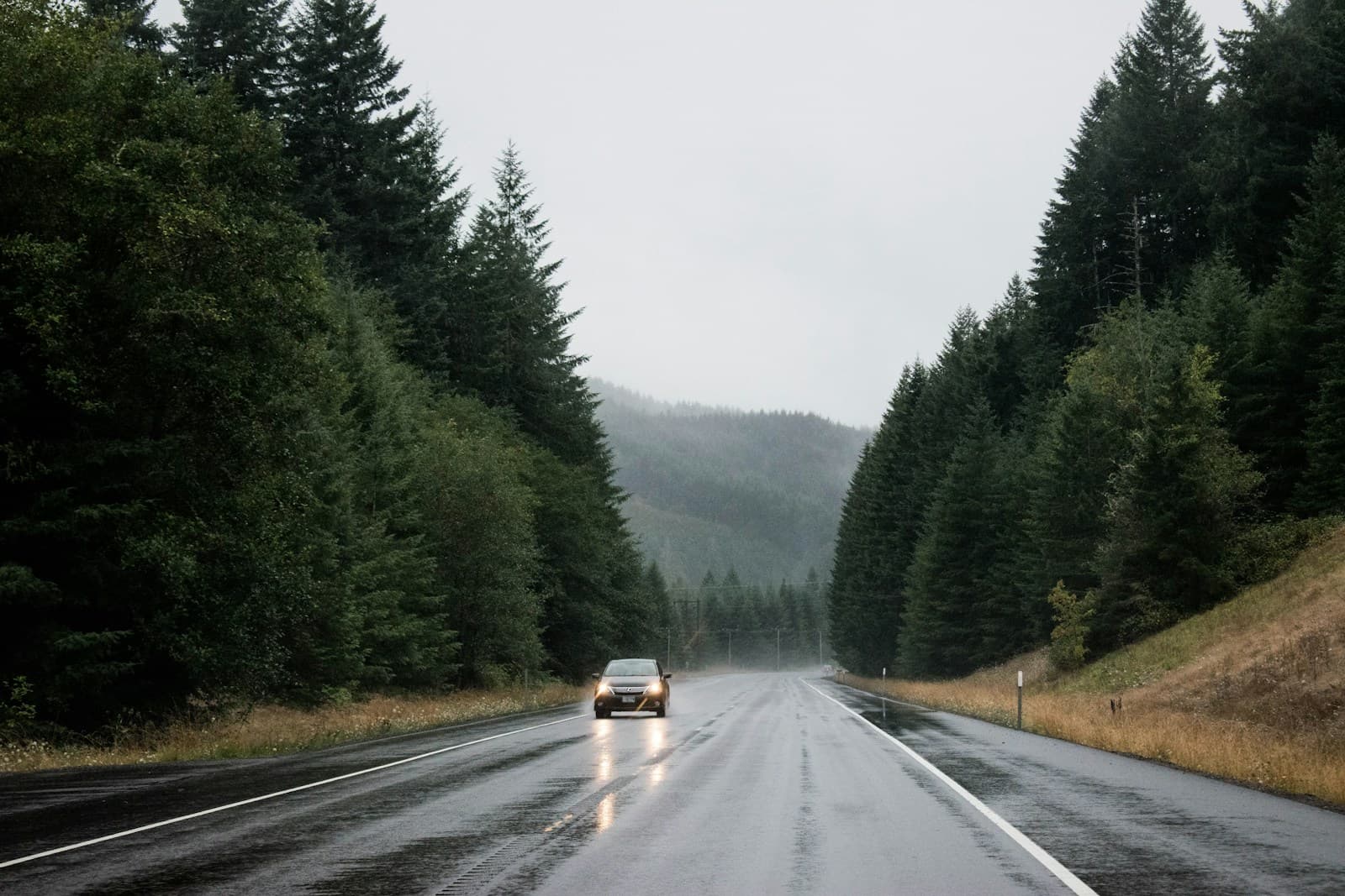 Wet highway through dense evergreen forest with a single oncoming car under gray sky