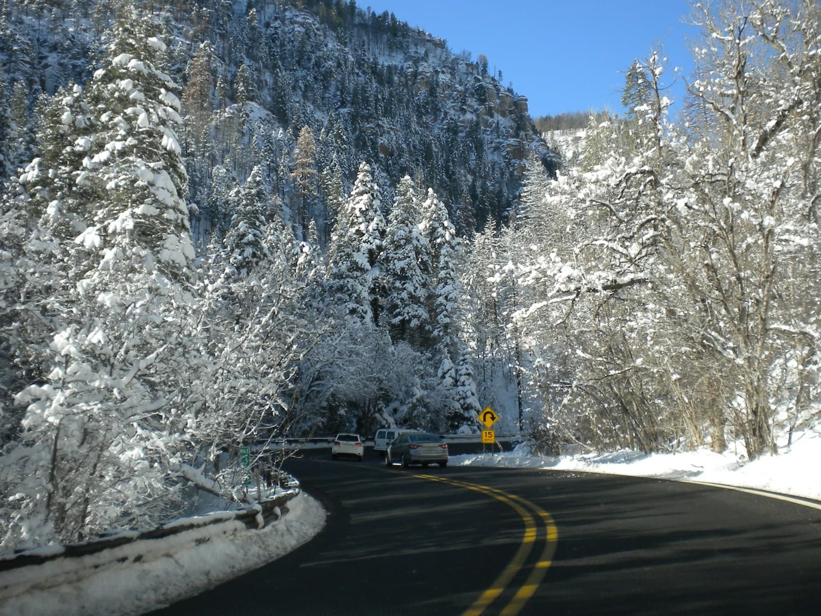 Winding mountain road beneath snow-laden branches forming a canopy over the asphalt