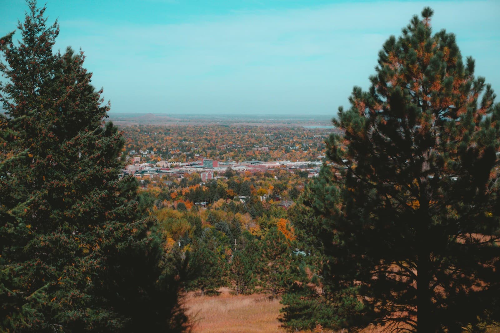 Panoramic view of a city from a hilltop overlook, framed by pine trees with autumn colors and blue sky