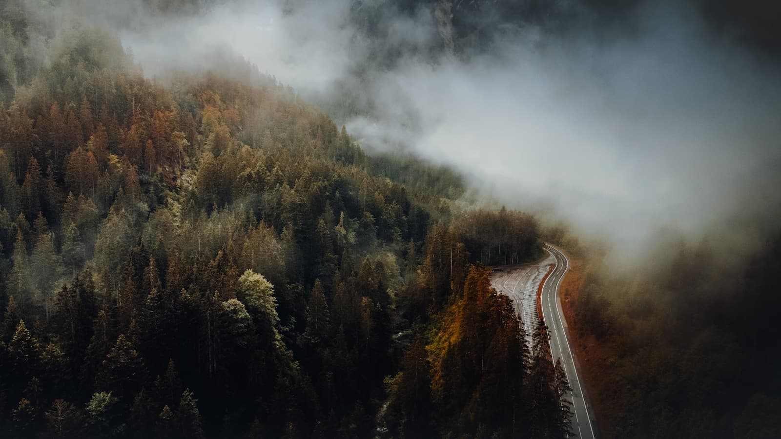 Winding road cutting across a forested mountainside shrouded in thick fog