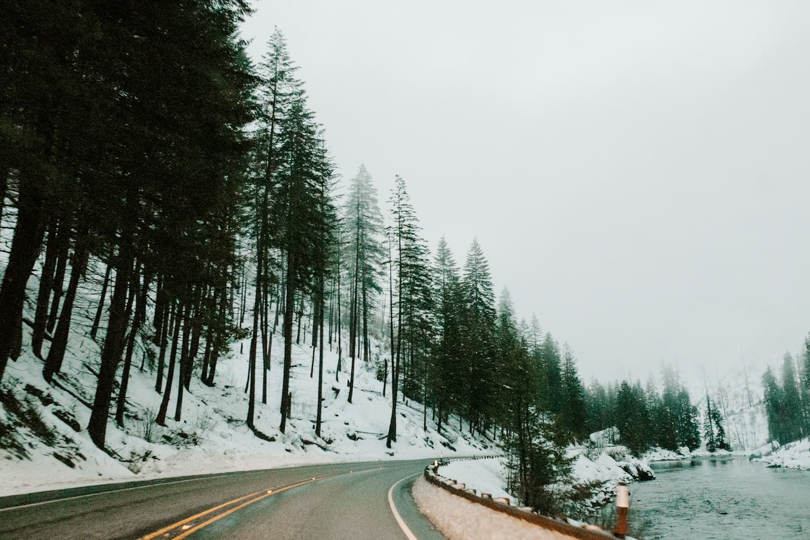 Curved mountain road through snow-covered evergreens on a misty winter day