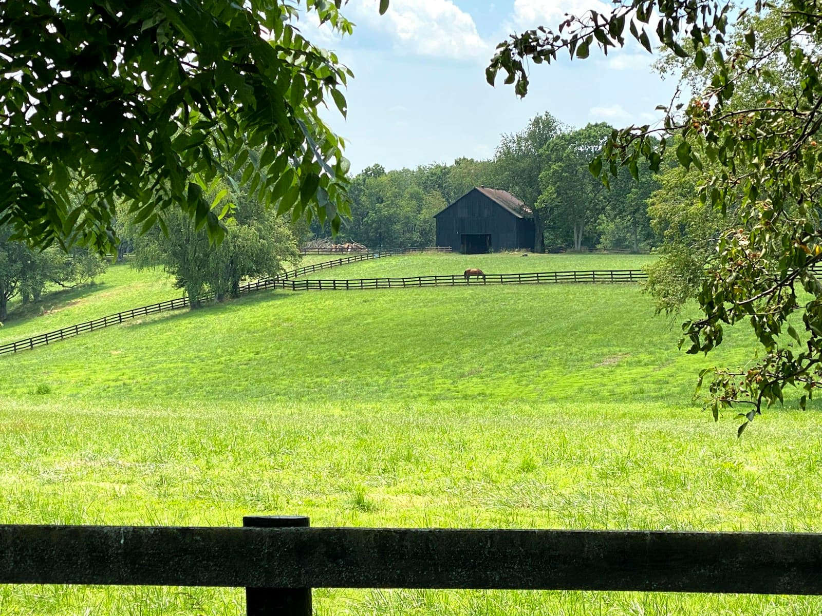 Green meadow with wooden fence, barn in background, and trees framing a pastoral farm landscape