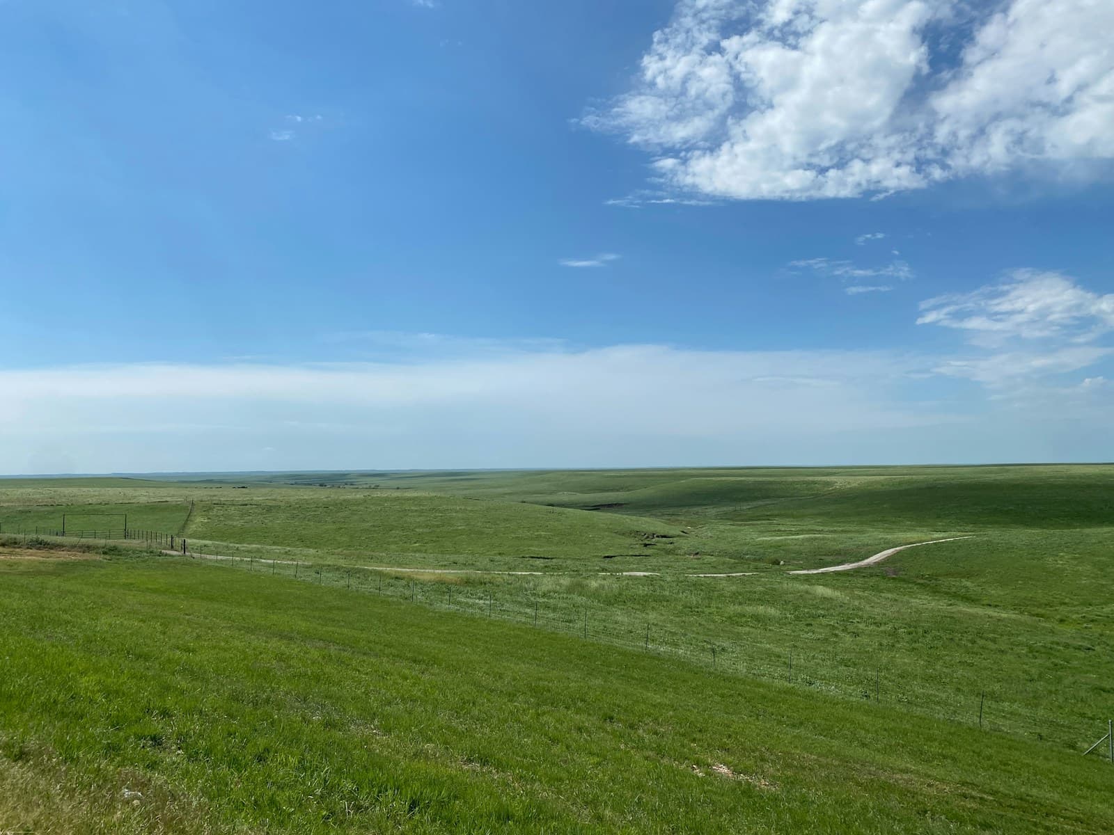 Expansive green grassland prairie with dirt path under blue sky with white clouds