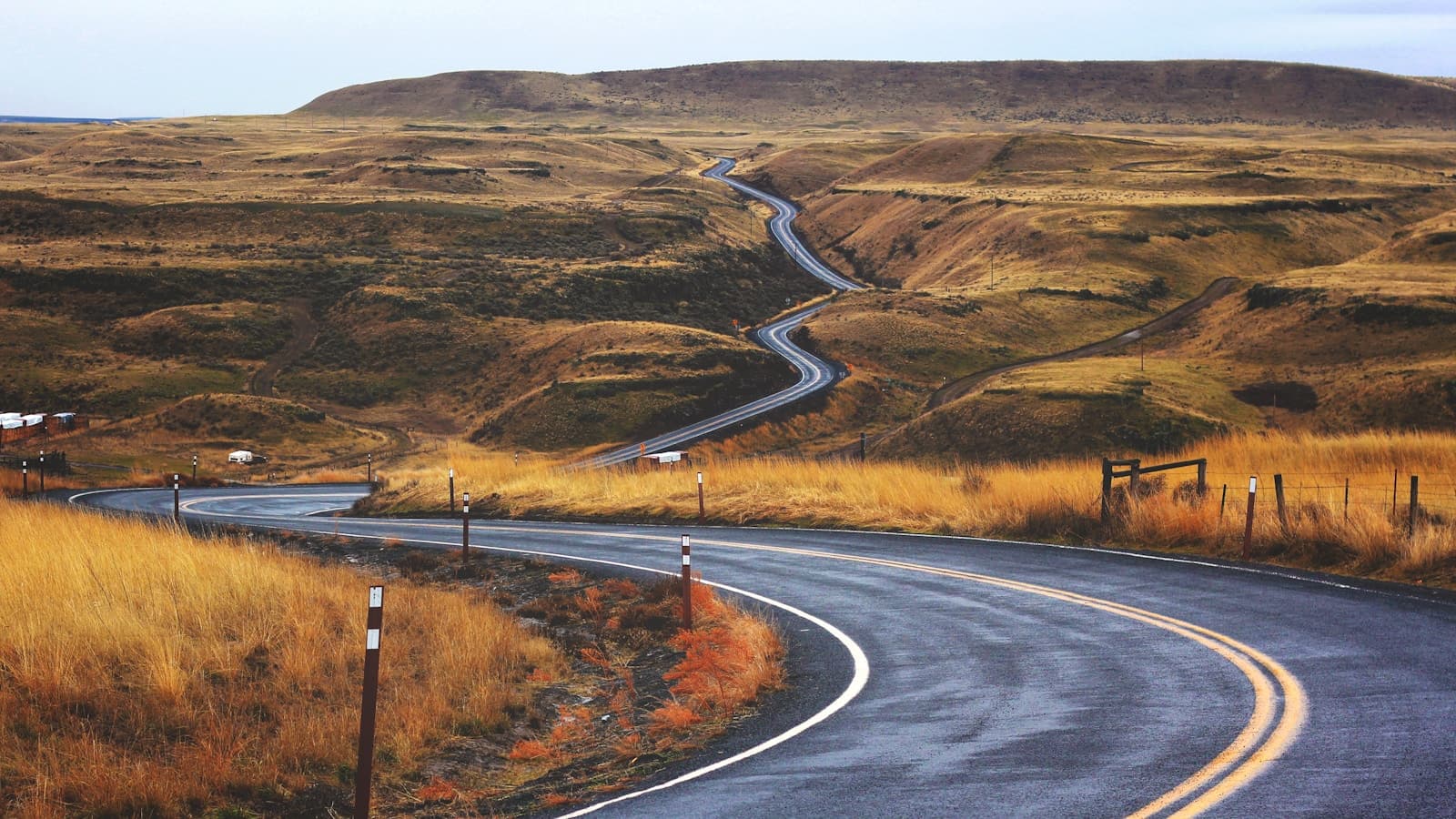 Winding road with yellow center lines crossing rolling golden grassland under overcast sky