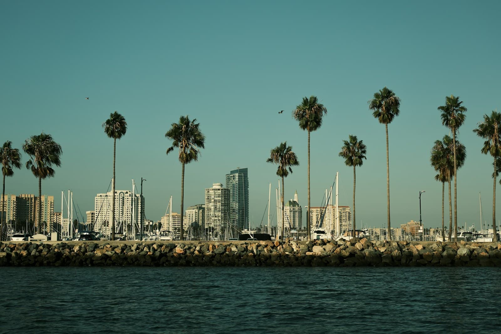 Long Beach, California cityscape and street view